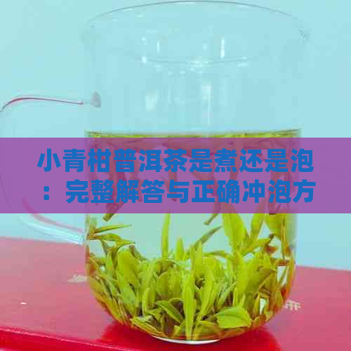 小青柑普洱茶是煮还是泡：完整解答与正确冲泡方法