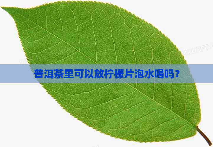 普洱茶里可以放柠檬片泡水喝吗？