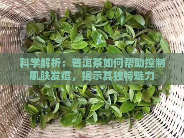 科学解析：普洱茶如何帮助控制肌肤发痘，揭示其独特魅力