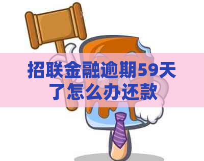 招联金融逾期59天了怎么办还款