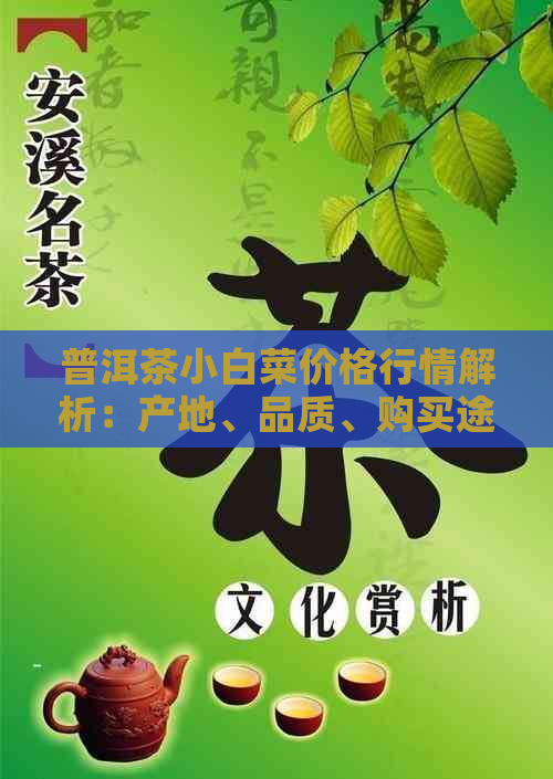 普洱茶小白菜价格行情解析：产地、品质、购买途径一应俱全！