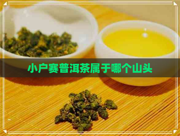 小户赛普洱茶属于哪个山头