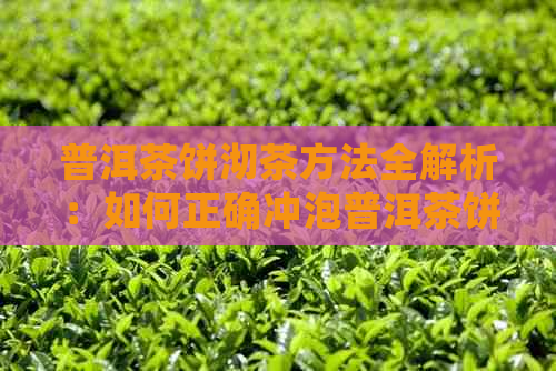 普洱茶饼沏茶方法全解析：如何正确冲泡普洱茶饼，品尝其独特风味？