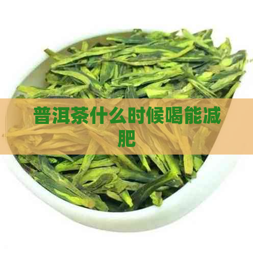 普洱茶什么时候喝能减肥