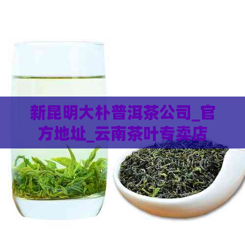 新昆明大朴普洱茶公司_官方地址_云南茶叶专卖店