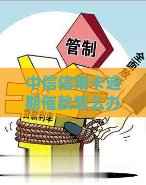 中信信用卡逾期催款怎么办理