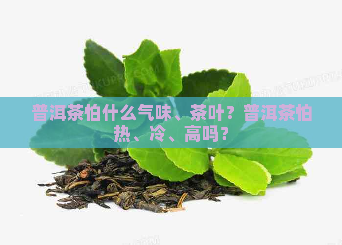 普洱茶怕什么气味、茶叶？普洱茶怕热、冷、高吗？