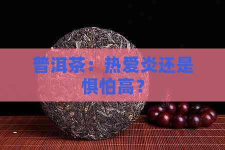 普洱茶：热爱炎还是惧怕高？