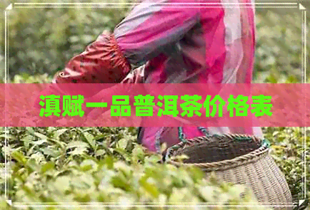 滇赋一品普洱茶价格表