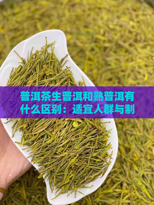 普洱茶生普洱和熟普洱有什么区别：适宜人群与制作工艺的区别