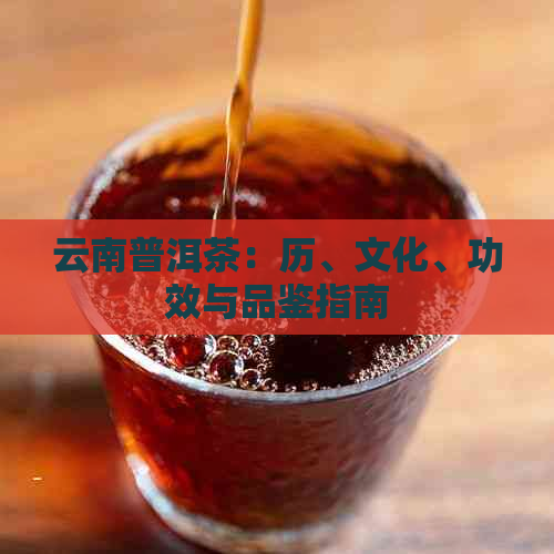 云南普洱茶：历、文化、功效与品鉴指南  第1张