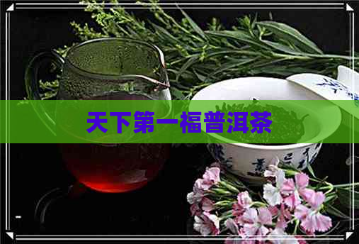 天下之一福普洱茶