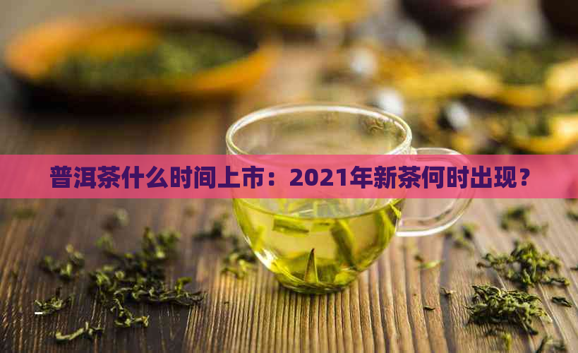 普洱茶什么时间上市：2021年新茶何时出现？