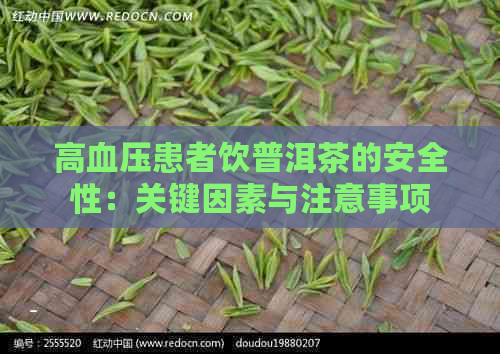 高血压患者饮普洱茶的安全性：关键因素与注意事项