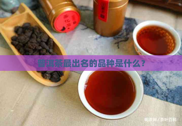 普洱茶最出名的品种是什么？