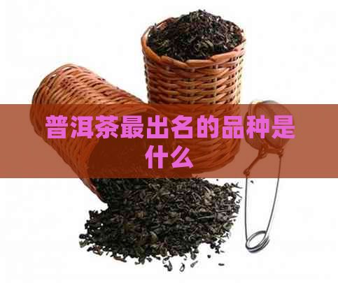 普洱茶最出名的品种是什么