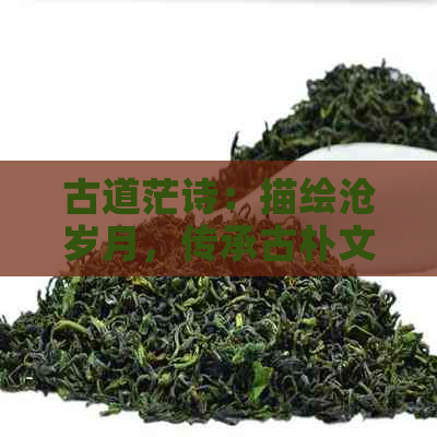 古道茫诗：描绘沧岁月，传承古朴文化