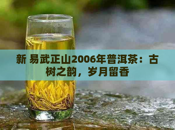 新 易武正山2006年普洱茶：古树之韵，岁月留香