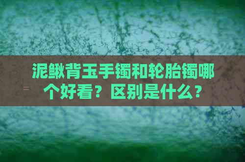 泥鳅背玉手镯和轮胎镯哪个好看？区别是什么？