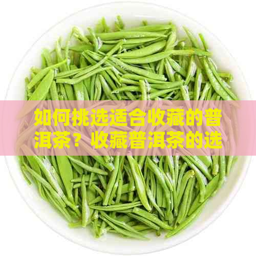 如何挑选适合收藏的普洱茶？收藏普洱茶的选择与技巧