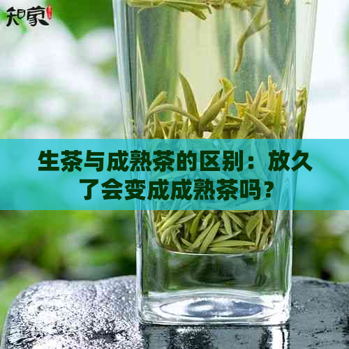 生茶与成熟茶的区别：放久了会变成成熟茶吗？