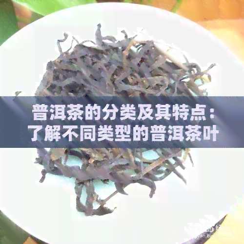 普洱茶的分类及其特点：了解不同类型的普洱茶叶