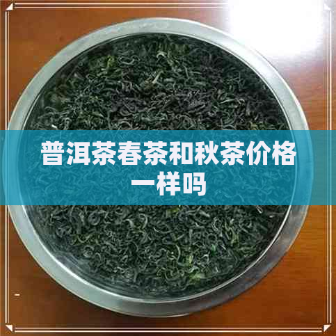 普洱茶春茶和秋茶价格一样吗