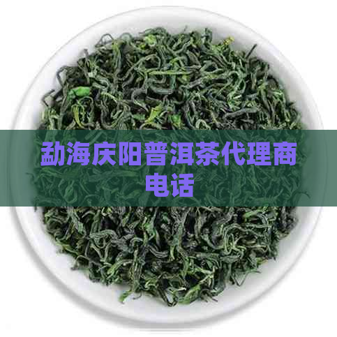 勐海庆阳普洱茶代理商电话