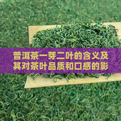 普洱茶一芽二叶的含义及其对茶叶品质和口感的影响是什么？