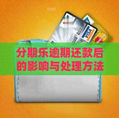 逾期还款后的影响与处理方法