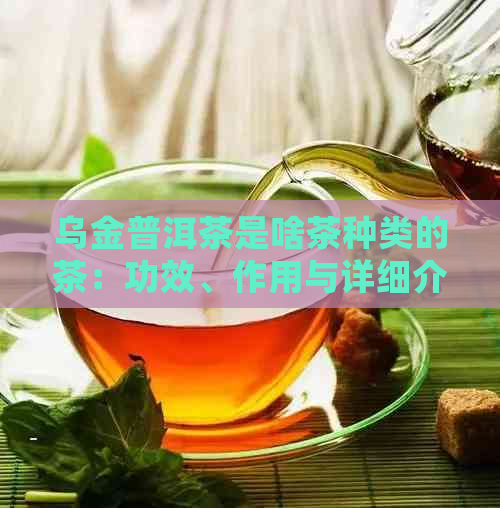 乌金普洱茶是啥茶种类的茶：功效、作用与详细介绍