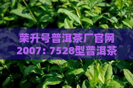 荣升号普洱茶厂官网2007: 7528型普洱茶， '荣珍' 普洱贡茶生茶的价格与信息