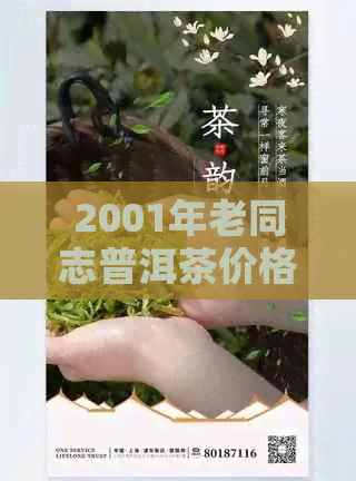 2001年老同志普洱茶价格与历年价格对比分析