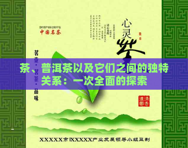 茶、普洱茶以及它们之间的独特关系：一次全面的探索