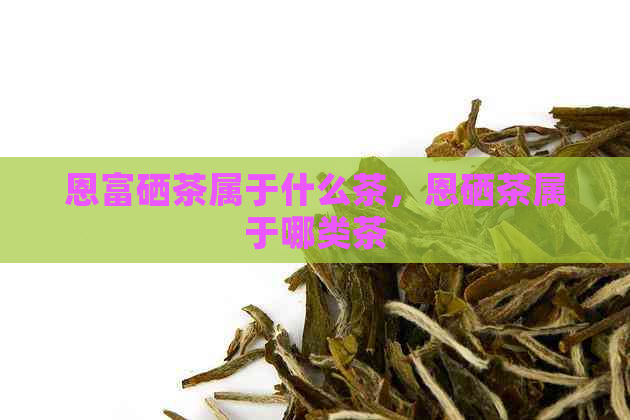 恩富硒茶属于什么茶，恩硒茶属于哪类茶