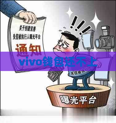 vivo钱包还不上