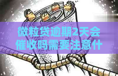 微立贷逾期2天会吗需要注意什么问题