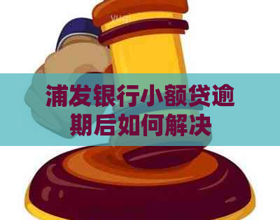 浦发银行小额贷逾期后如何解决