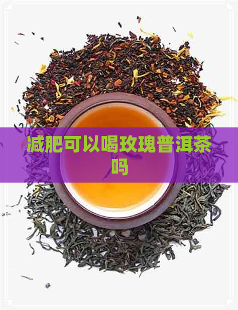 减肥可以喝玫瑰普洱茶吗