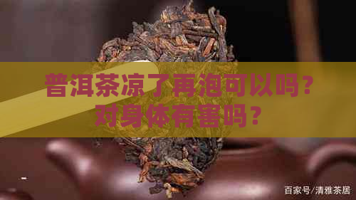 普洱茶凉了再泡可以吗？对身体有害吗？