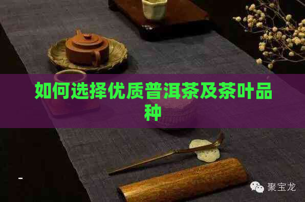 如何选择优质普洱茶及茶叶品种