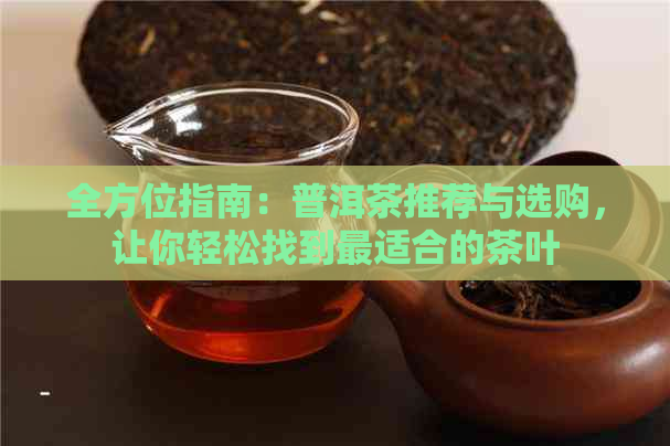 全方位指南：普洱茶推荐与选购，让你轻松找到最适合的茶叶