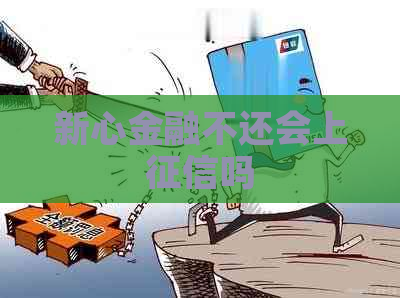 新心金融不还会上吗