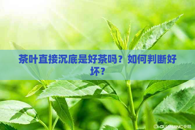 茶叶直接沉底是好茶吗？如何判断好坏？