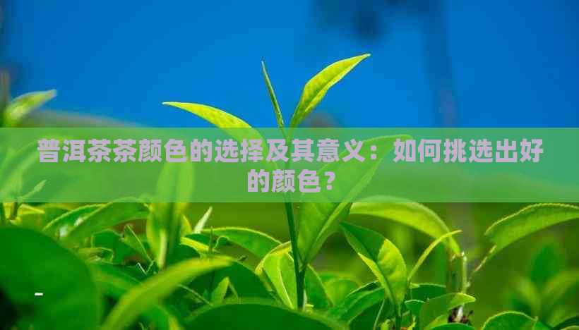 普洱茶茶颜色的选择及其意义：如何挑选出好的颜色？