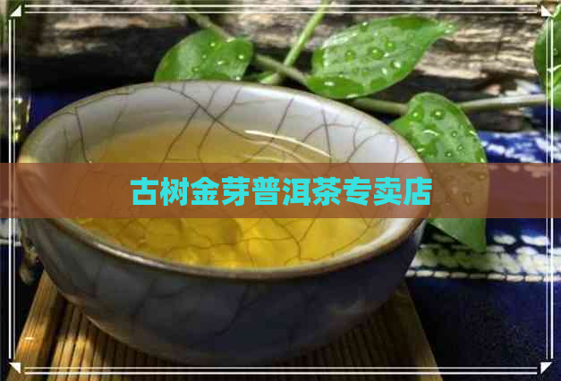 古树金芽普洱茶专卖店