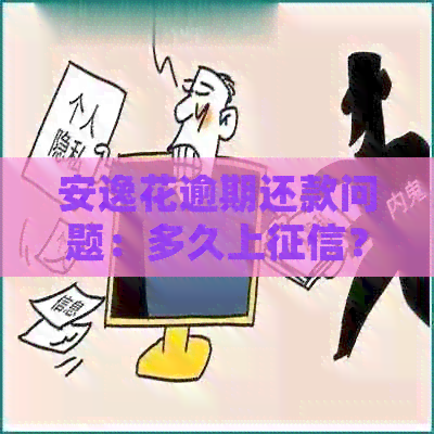 安逸花逾期还款问题：多久上？后果严重吗？如何处理及收费情况如何？