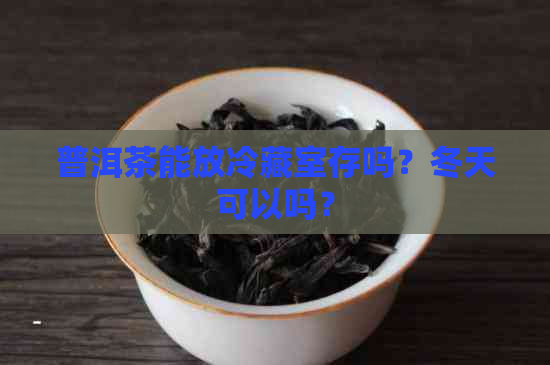 普洱茶能放冷藏室存吗？冬天可以吗？