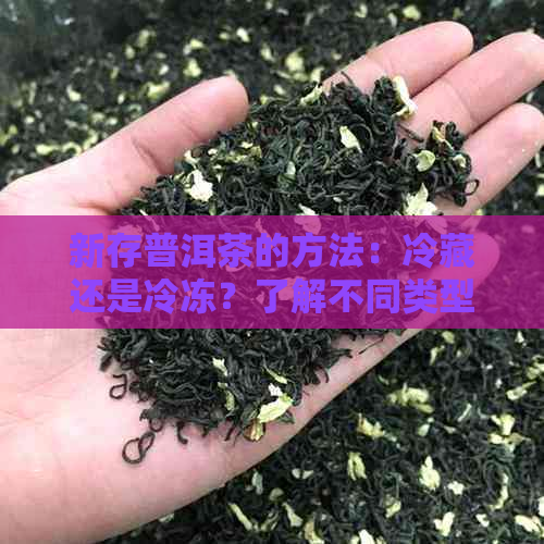 新存普洱茶的方法：冷藏还是冷冻？了解不同类型茶叶的保存要求