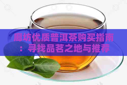 廊坊优质普洱茶购买指南：寻找品茗之地与推荐